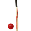 MRF Original Genius Bat